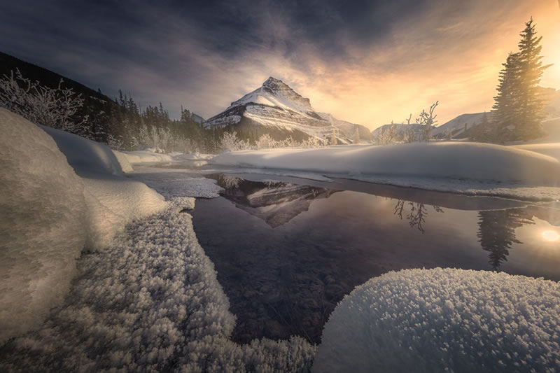 London Photography Nature Awards