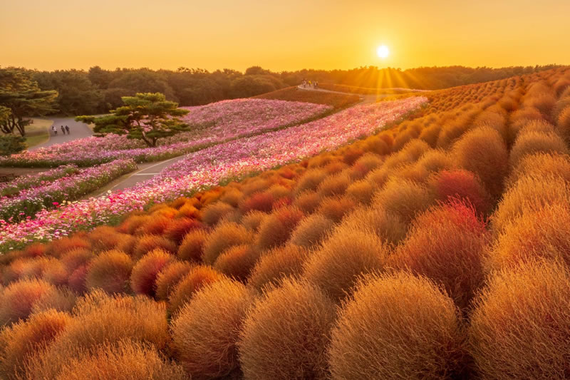 London Photography Nature Awards