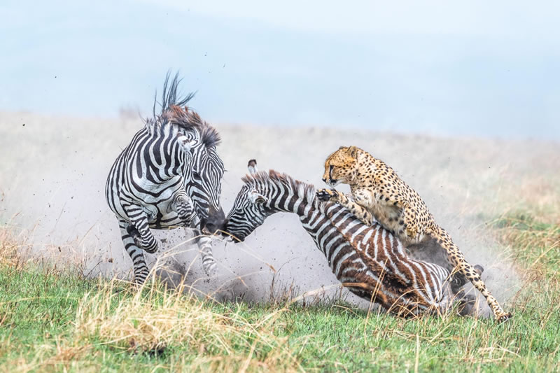 London Photography Nature Awards