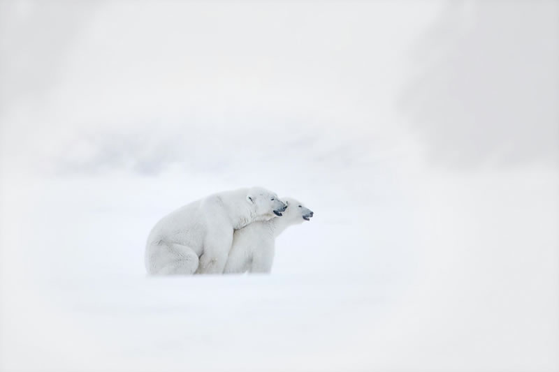 London Photography Nature Awards