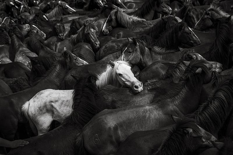 Monochrome Black And White Photography Awards