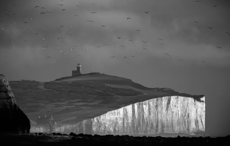 Monochrome Nature Photography Awards