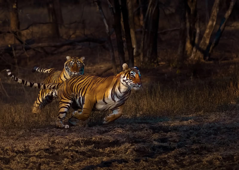 Nature Photography Contest Winners