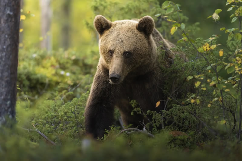 Nature Photography Contest Winners