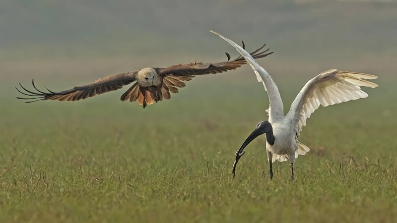 Nature Photography Contest Winners