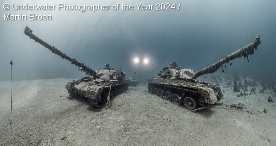 Underwater Photographer Of The Year 2024 Winners