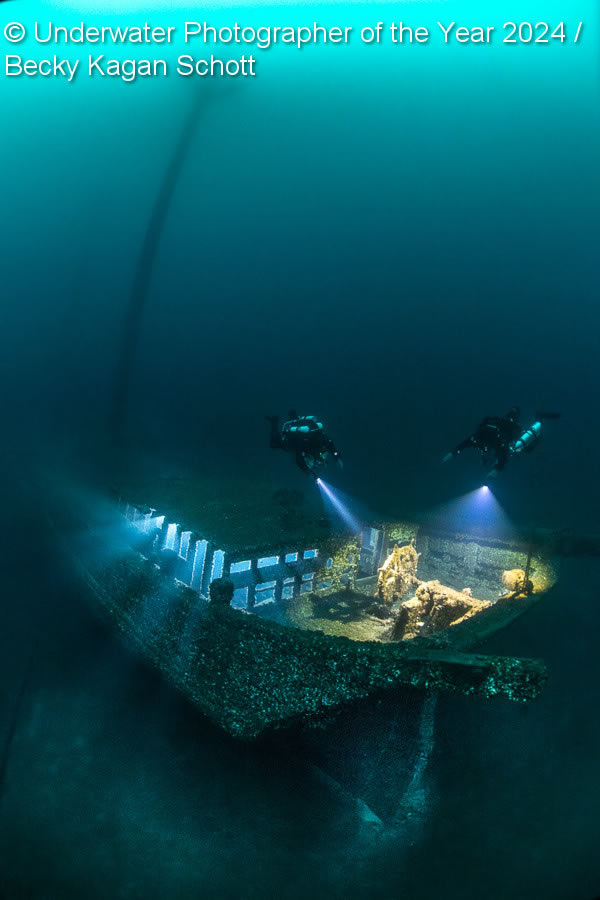 Underwater Photographer Of The Year 2024 Winners