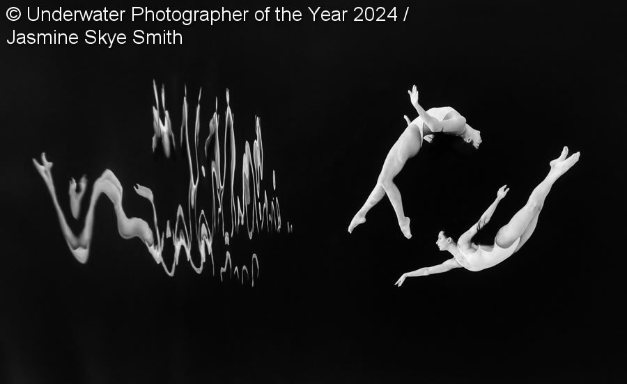 Underwater Photographer Of The Year 2024 Winners