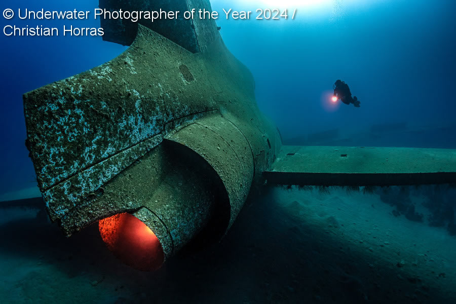 Underwater Photographer Of The Year 2024 Winners