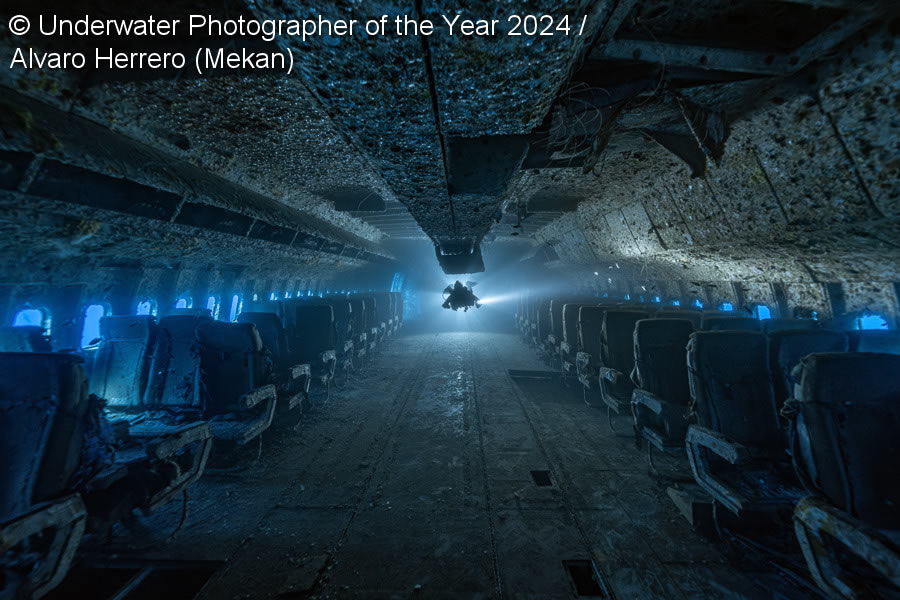 Underwater Photographer Of The Year 2024 Winners