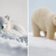 Arctic Wildlife Photography By Konsta Punkka