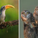 Beautiful Bird Photography For Inspiration