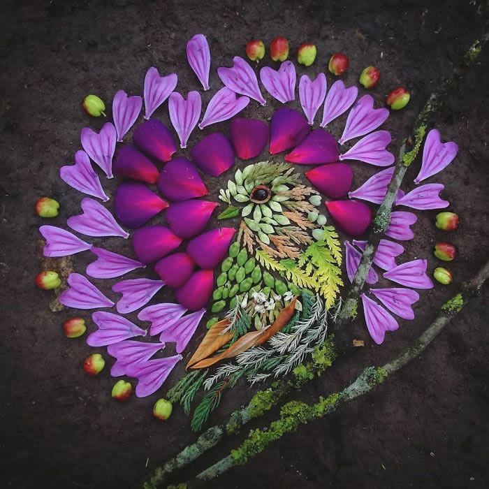 Bird Portraits Using Leaves And Flowers By Hannah Bullen-Ryner 