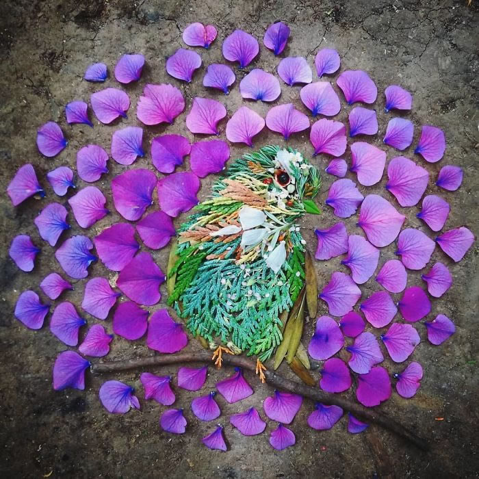 Bird Portraits Using Leaves And Flowers By Hannah Bullen-Ryner 