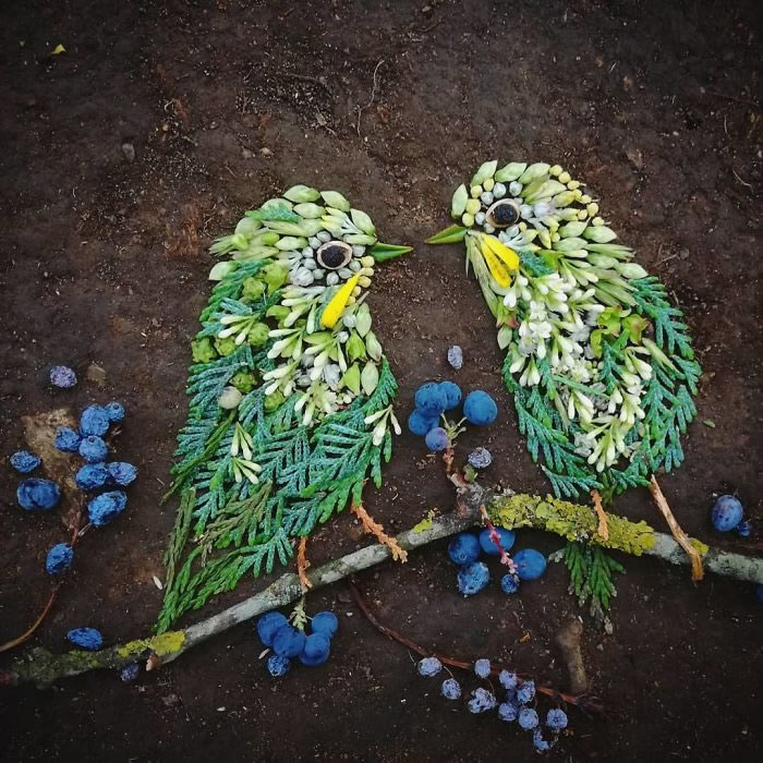 Bird Portraits Using Leaves And Flowers By Hannah Bullen-Ryner 