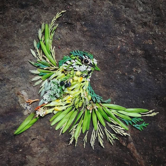 Bird Portraits Using Leaves And Flowers By Hannah Bullen-Ryner 