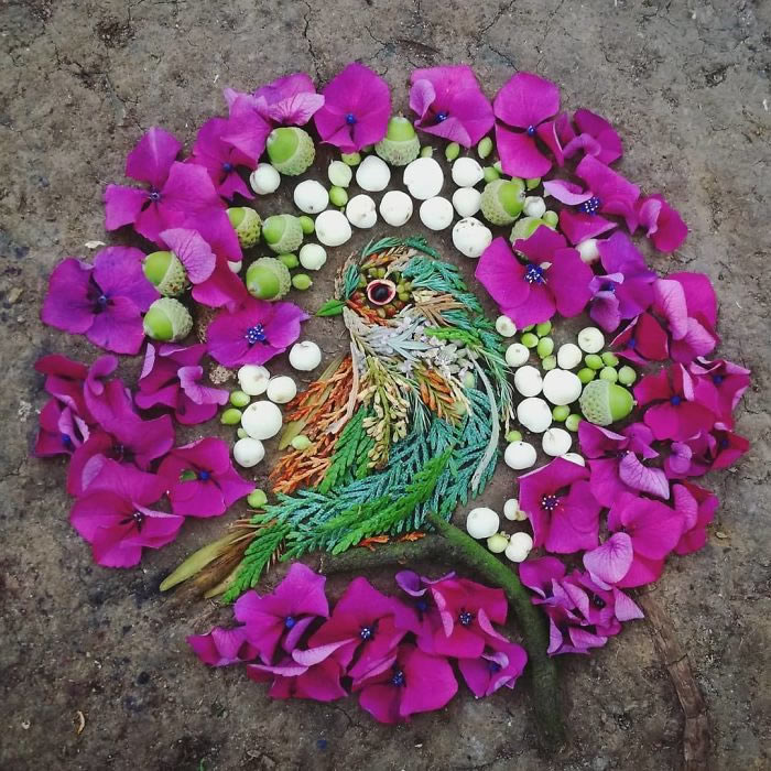 Bird Portraits Using Leaves And Flowers By Hannah Bullen-Ryner 