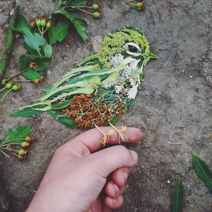 Bird Portraits Using Leaves And Flowers By Hannah Bullen-Ryner 