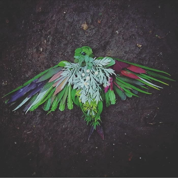 Bird Portraits Using Leaves And Flowers By Hannah Bullen-Ryner 