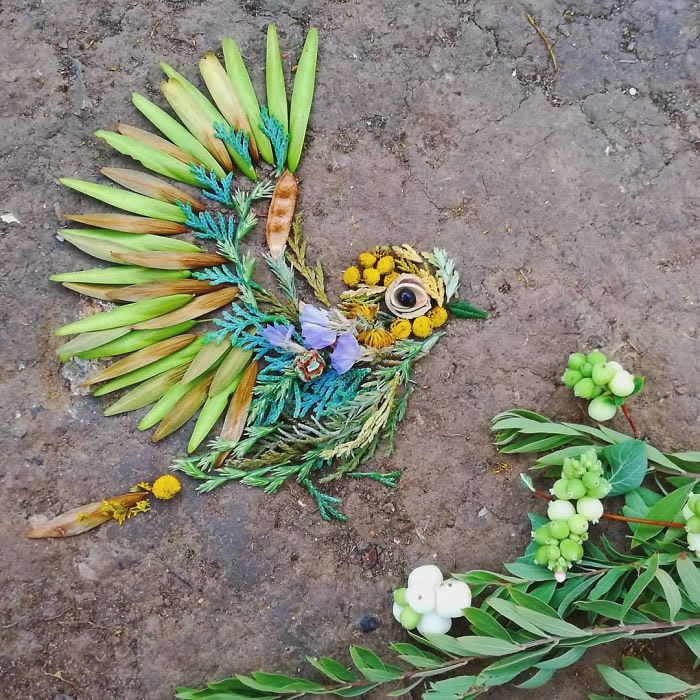 Bird Portraits Using Leaves And Flowers By Hannah Bullen-Ryner 