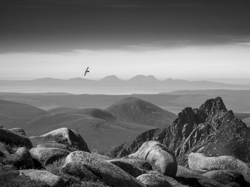 British Wildlife Photography Awards 2024 Winners