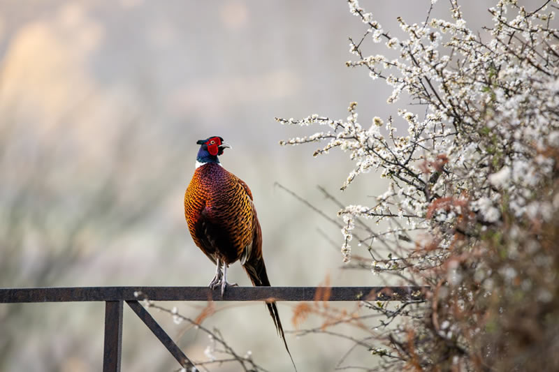 Young Award-Winning Wildlife Photographers in 2024