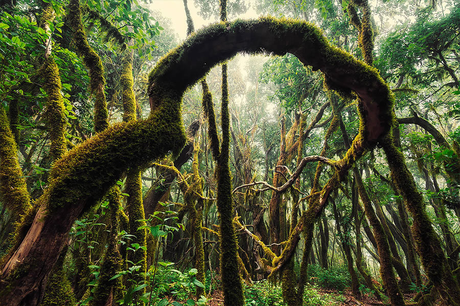 Landscapes Of The Canary Islands By Lukas Furlan