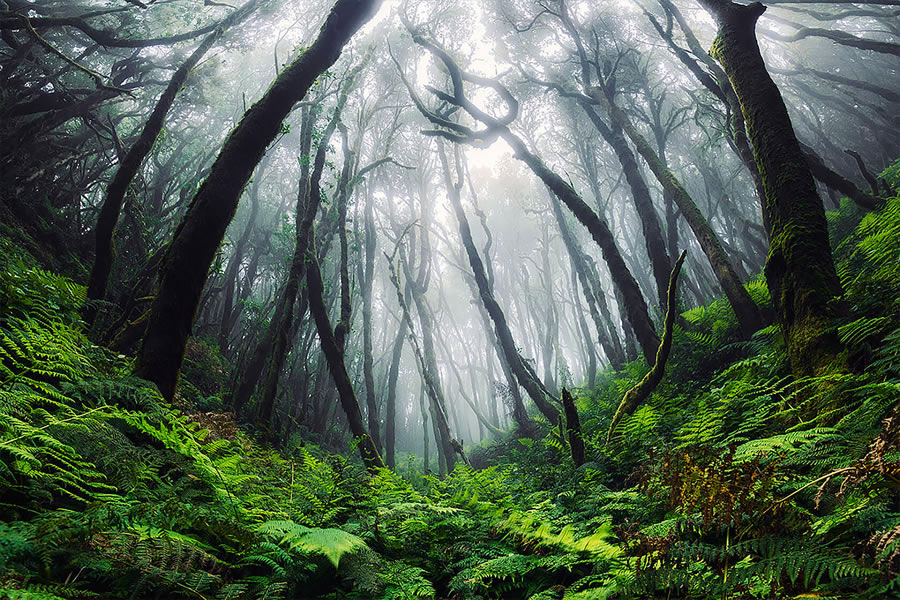 Landscapes Of The Canary Islands By Lukas Furlan