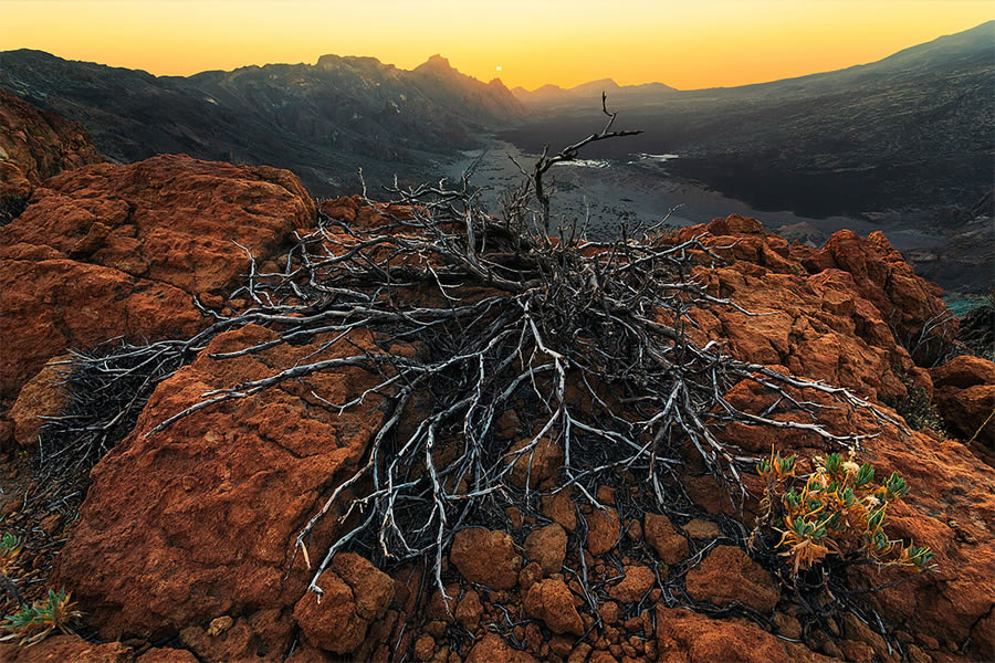 Landscapes Of The Canary Islands By Lukas Furlan