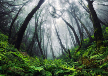 Landscapes Of The Canary Islands By Lukas Furlan