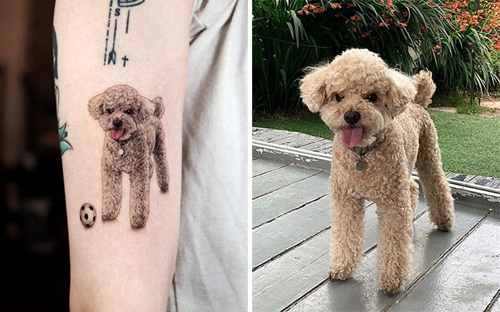 Incredible Realistic Pet Tattoos By Yeono