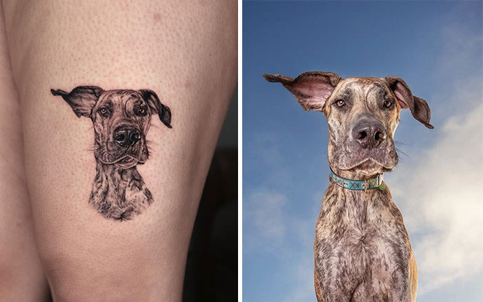 Incredible Realistic Pet Tattoos By Yeono