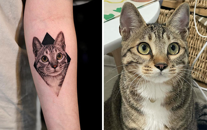 Incredible Realistic Pet Tattoos By Yeono