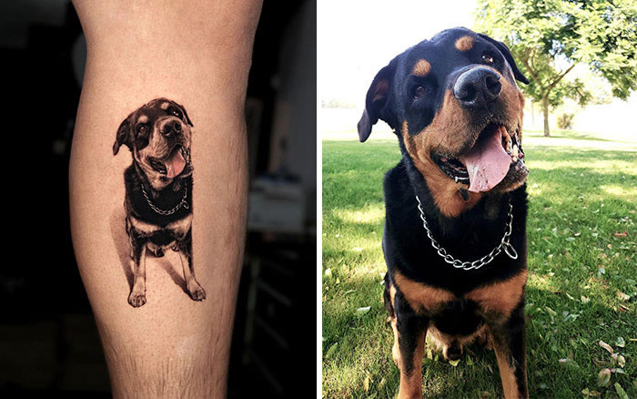 Incredible Realistic Pet Tattoos By Yeono