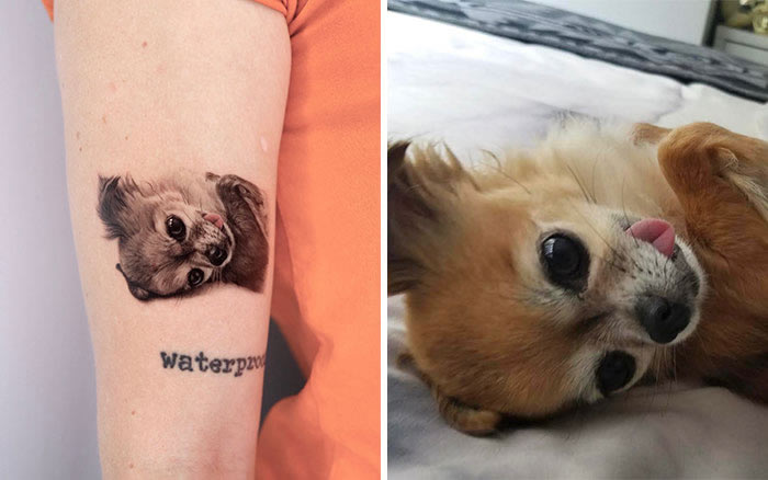 Incredible Realistic Pet Tattoos By Yeono