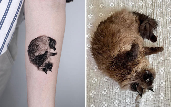 Incredible Realistic Pet Tattoos By Yeono