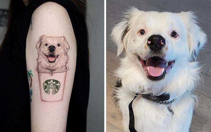 Incredible Realistic Pet Tattoos By Yeono