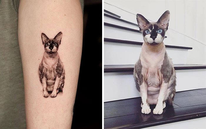 Incredible Realistic Pet Tattoos By Yeono