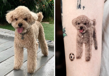 Incredible Realistic Pet Tattoos By Yeono