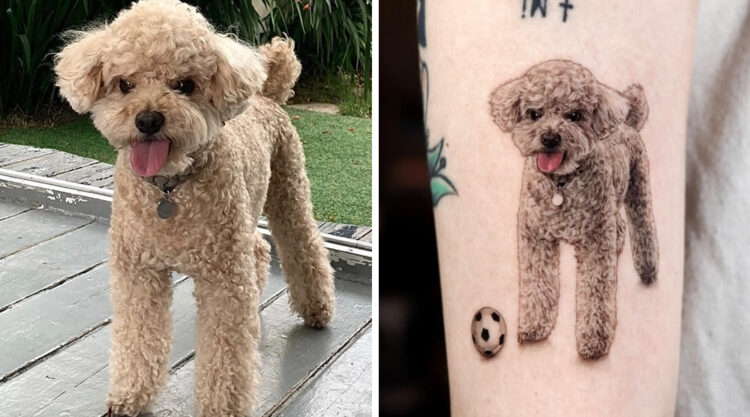 Incredible Realistic Pet Tattoos By Yeono