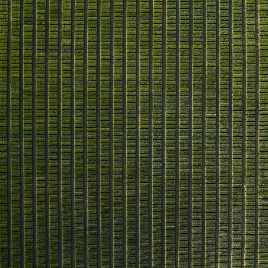 Aerial Landscapes Of Eastern Washington By Mitchell Rouse