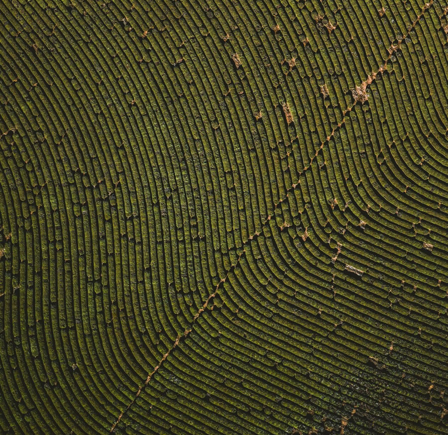 Aerial Landscapes Of Eastern Washington By Mitchell Rouse