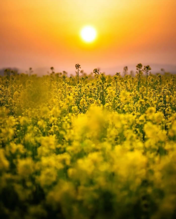 Japan Nature And Landscape Photography