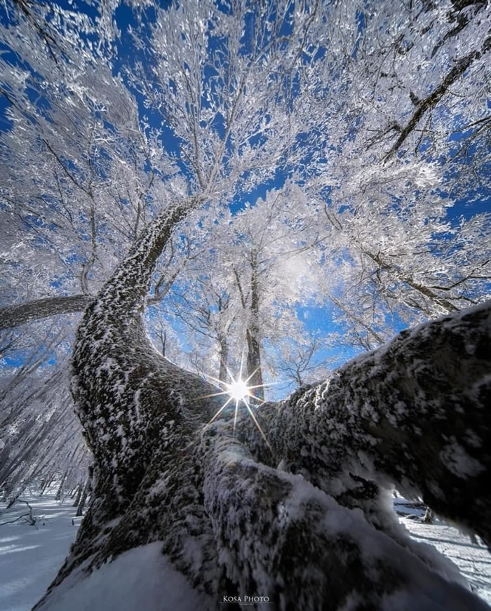 Japan Nature And Landscape Photography