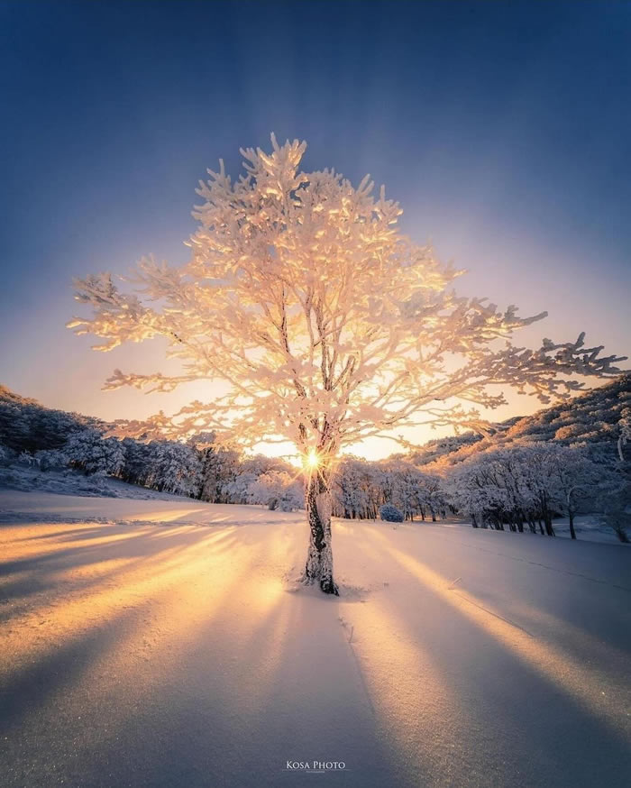 Japan Nature And Landscape Photography