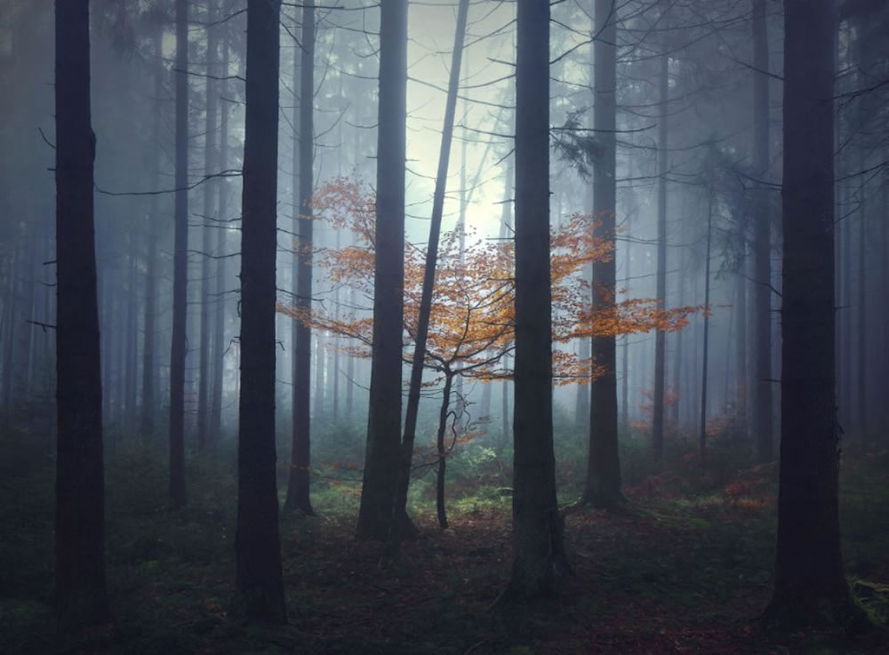 Magical Landscape Photography By Kilian Schonberger