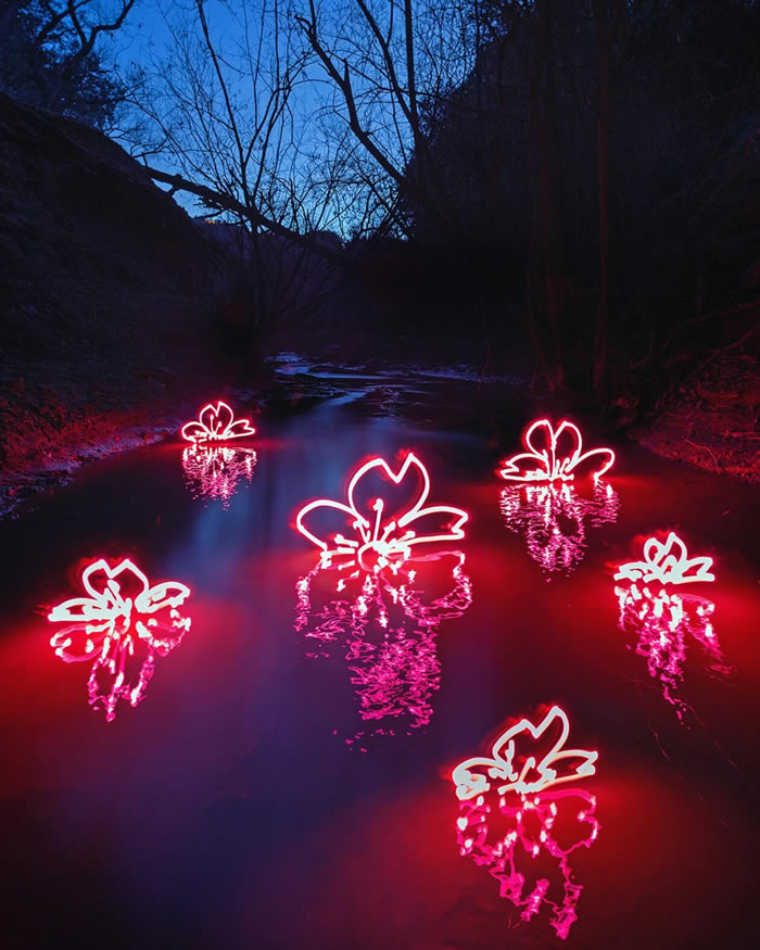 Light Paintings Photography By Dariustwin