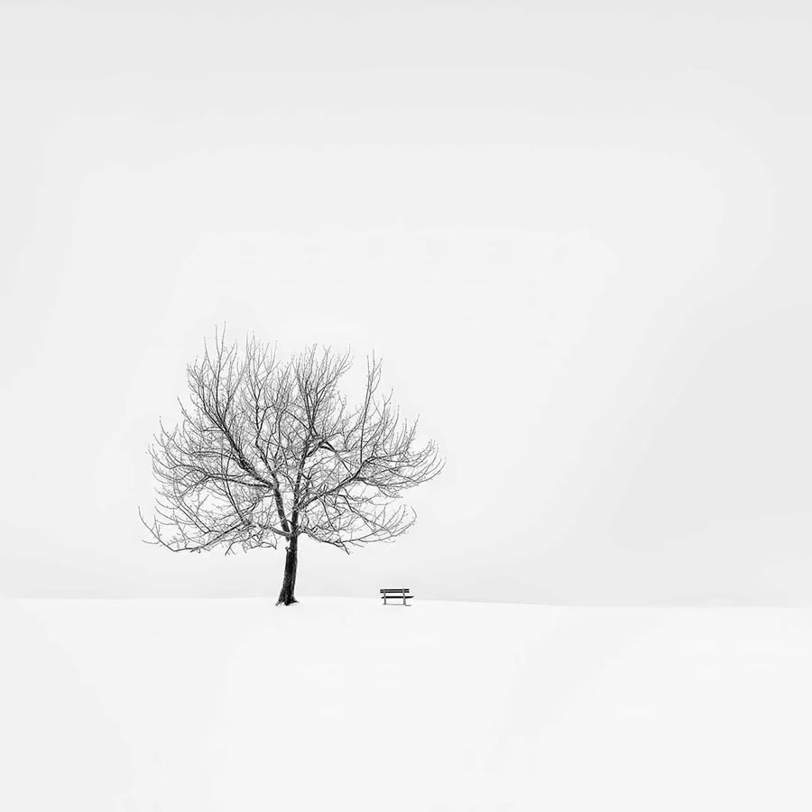 Minimalism Photography Awards Winners