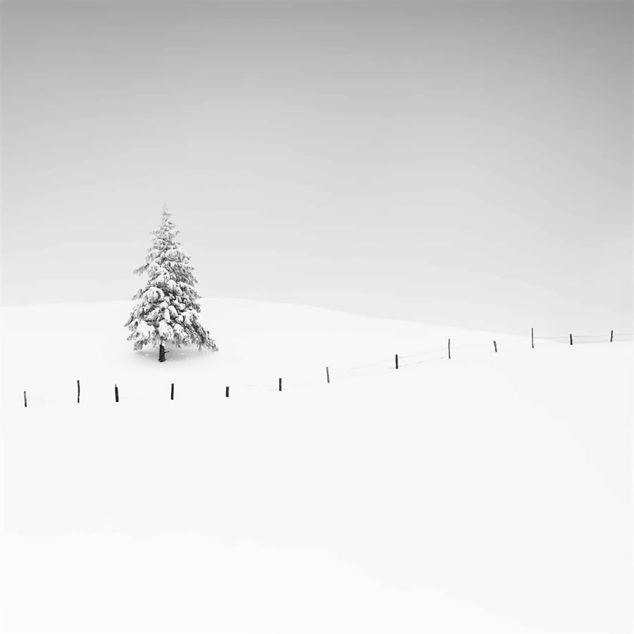 Minimalism Photography Awards Winners