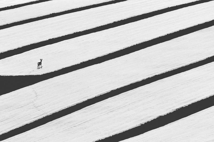 Minimalism Photography Awards Winners